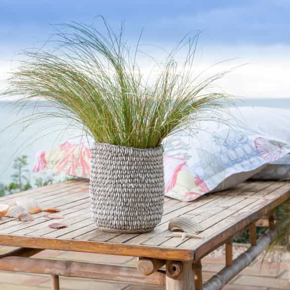 Cache-pot décor coquillages en résine