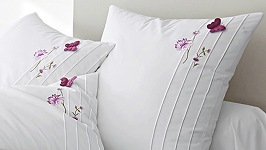 Photo qui montre un Pli plat ou religieuse